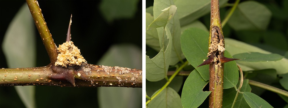 this is a placeholder image