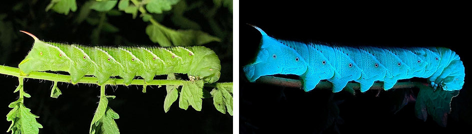 this is a placeholder image